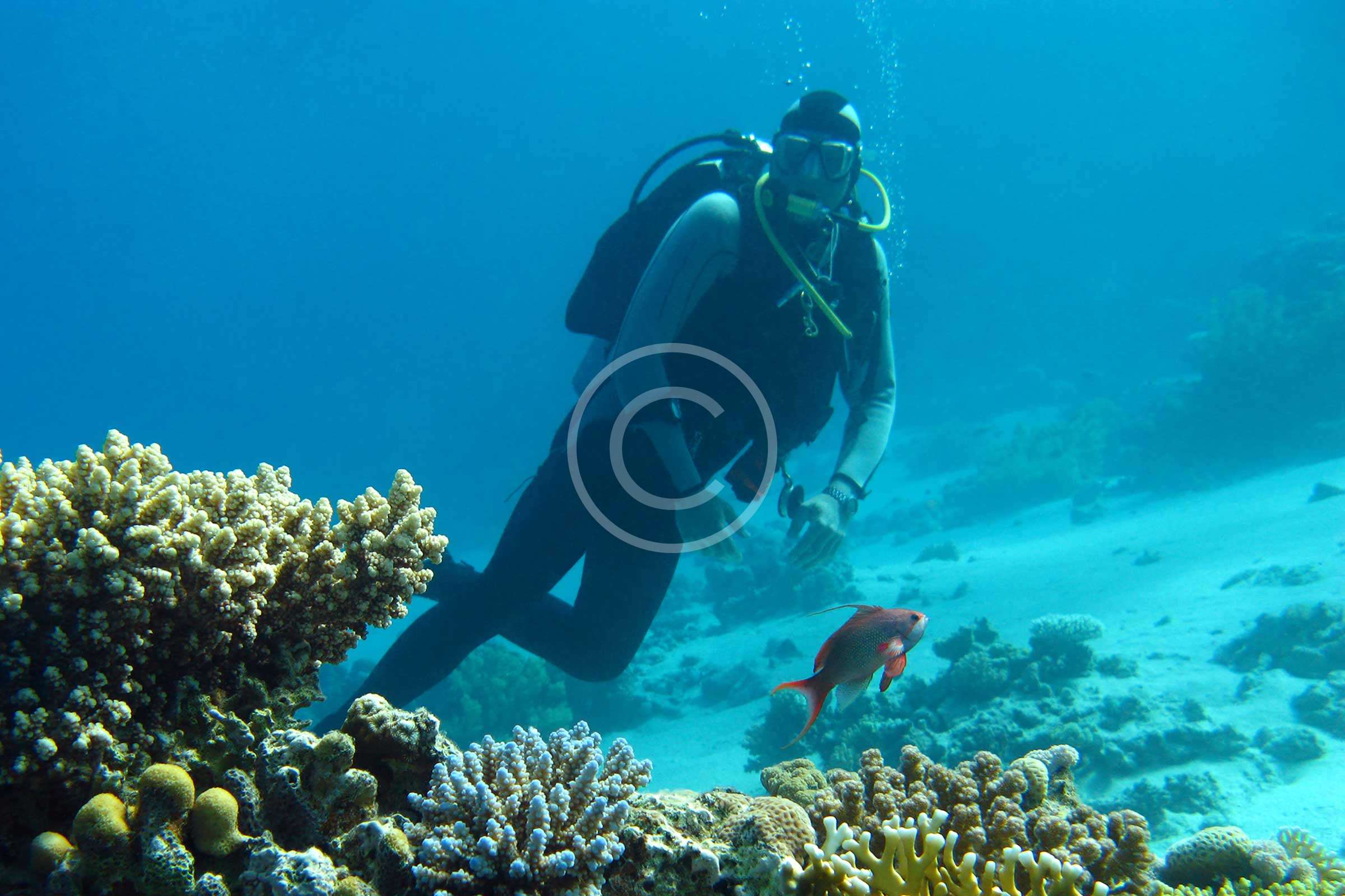 Underwater Family Photoshoot