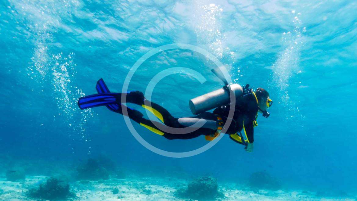 Divers’ Heaven: Hawaiian Experience